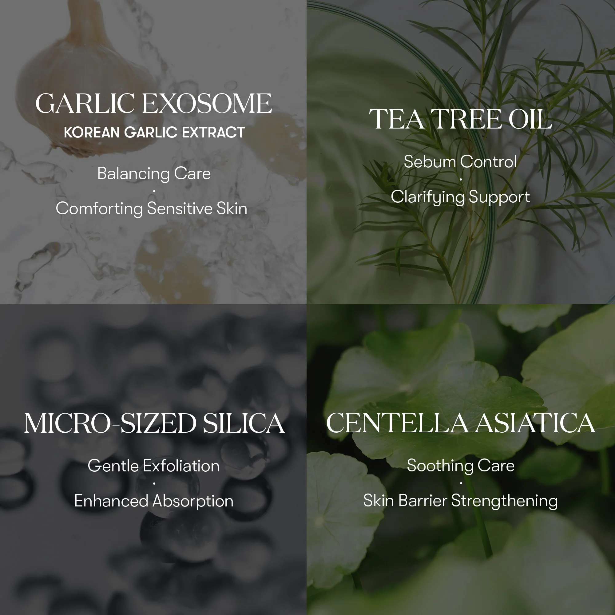Garlic AC Reedle Shot Spot Cream - Image 3