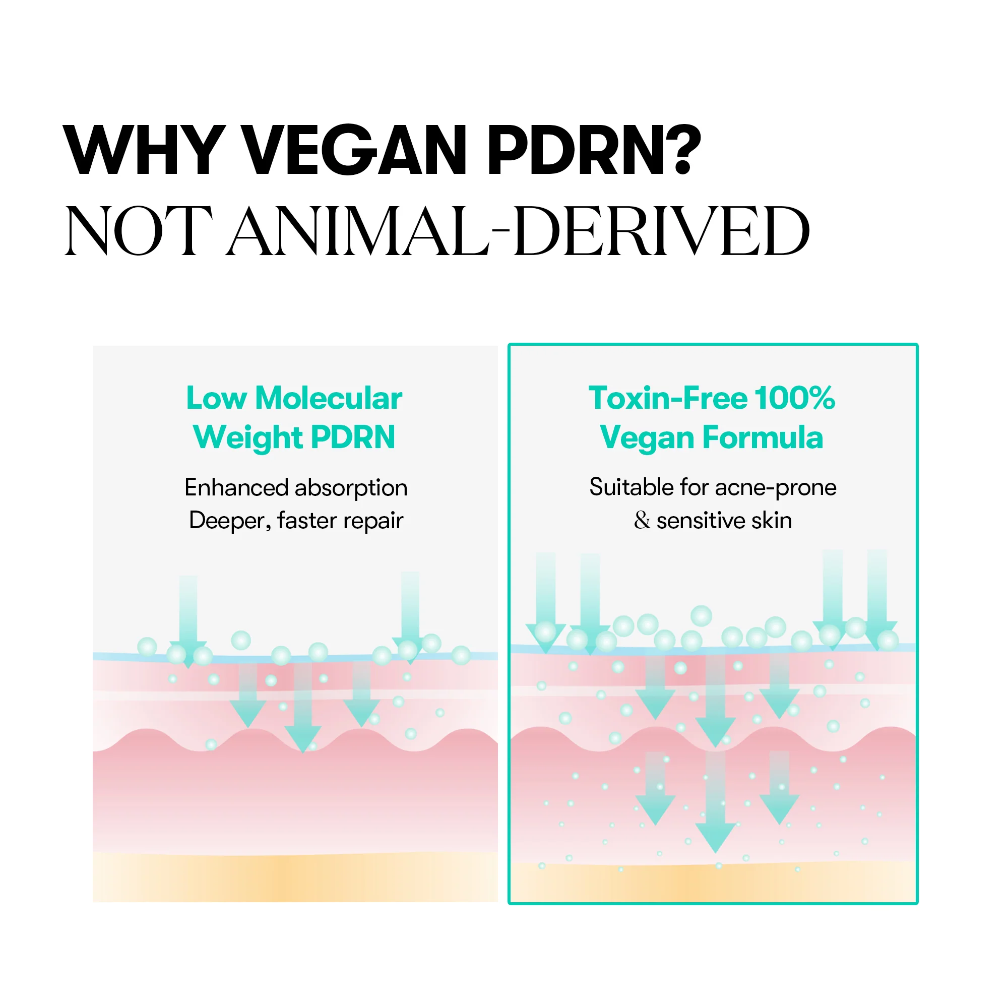PDRN CAPSULE CREAM 100 - Image 7